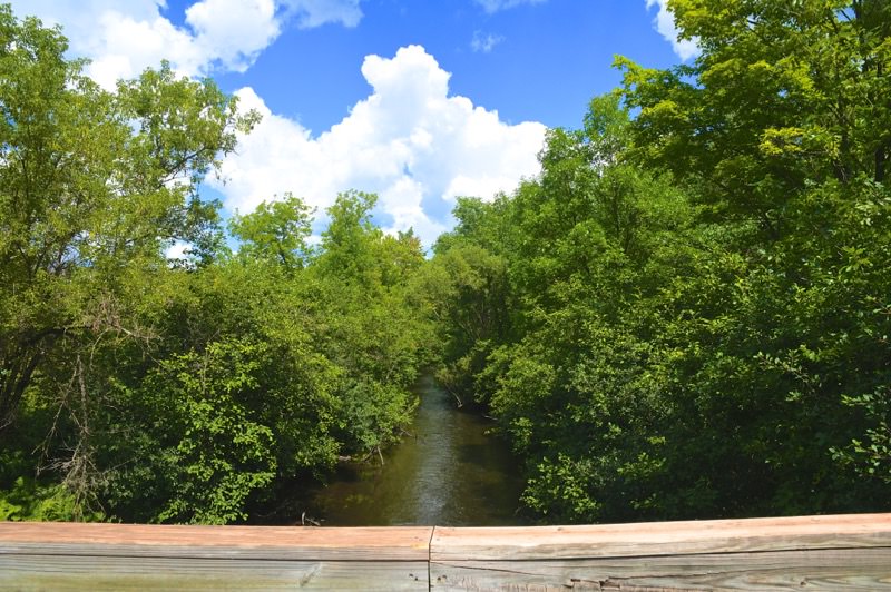 Apple Blossom Trail